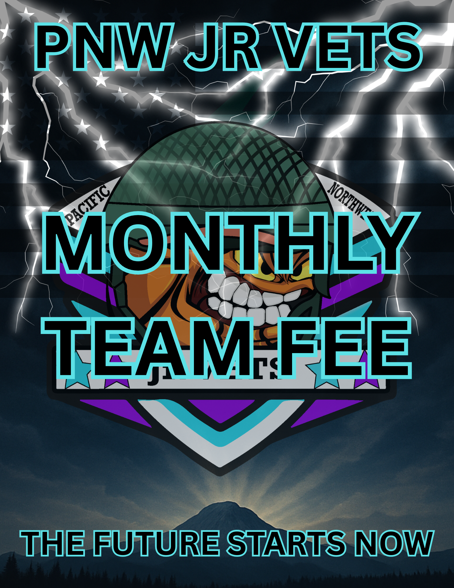 Monthly Team Fee